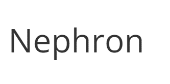Nephron